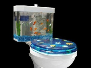 Fish-tank toilet
