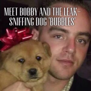 plumbers , leak sniffing dog , meet the plumbers