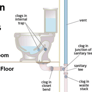 Drain clog , toilet , where the clog is