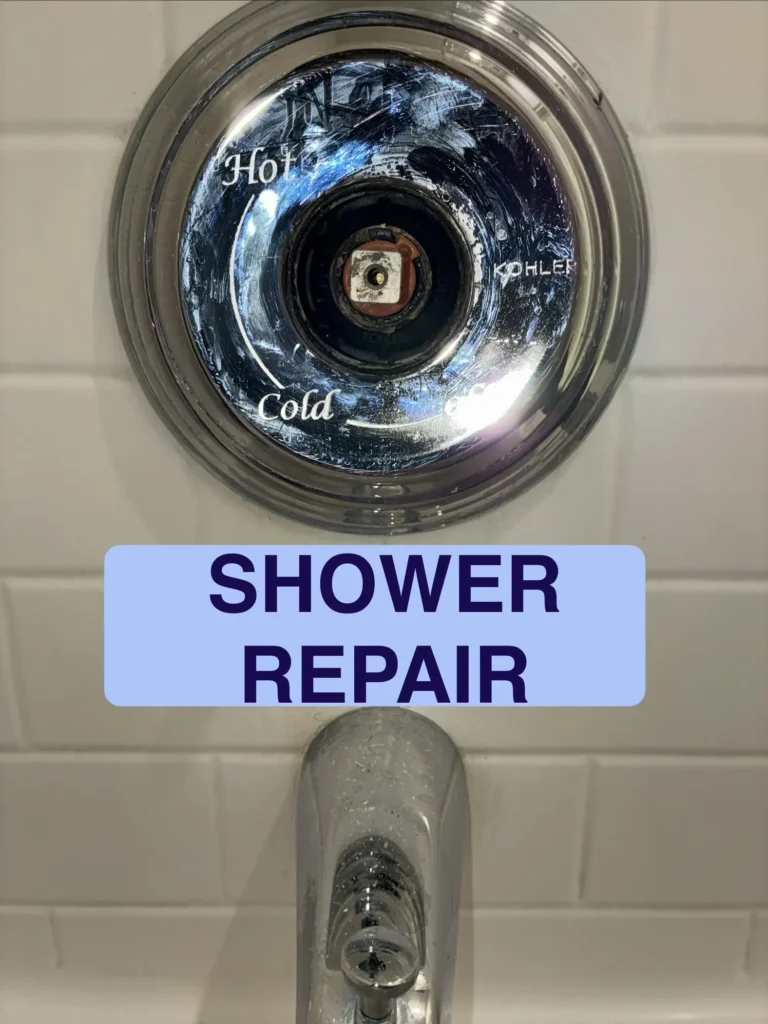 shower repair service