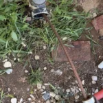 kitchen drain cleaning